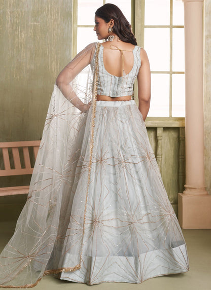 Embroidered Net Grey Lehenga - L3306