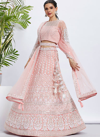 Embroidered Net A - Line Lehenga - L2066