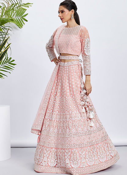 Embroidered Net A - Line Lehenga - L2066
