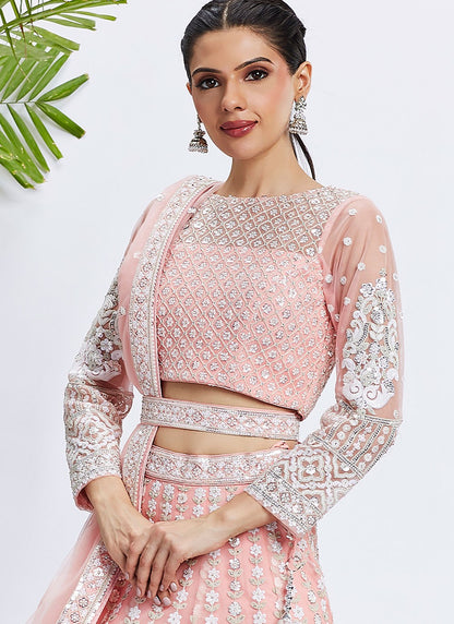 Embroidered Net A - Line Lehenga - L2066