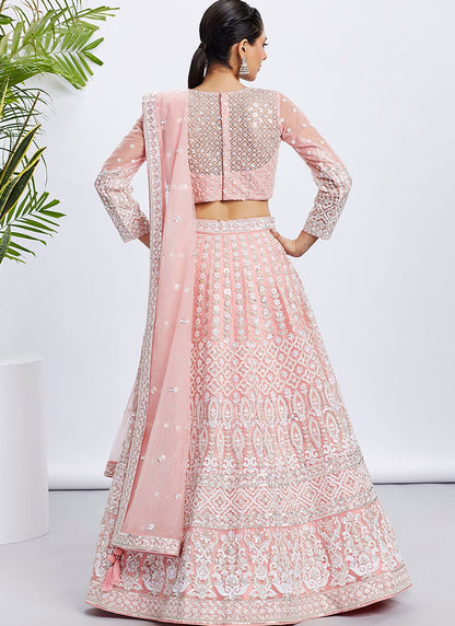 Embroidered Net A - Line Lehenga - L2066