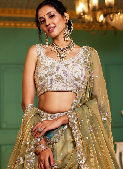 Tissue Engagement, Mehandi & Sangeet, Reception, Wedding A - Line Lehenga L3565
