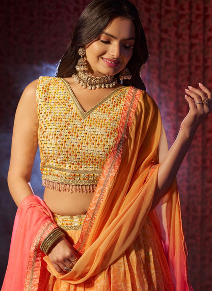 Embroidered Organza A - Line Lehenga - L2430