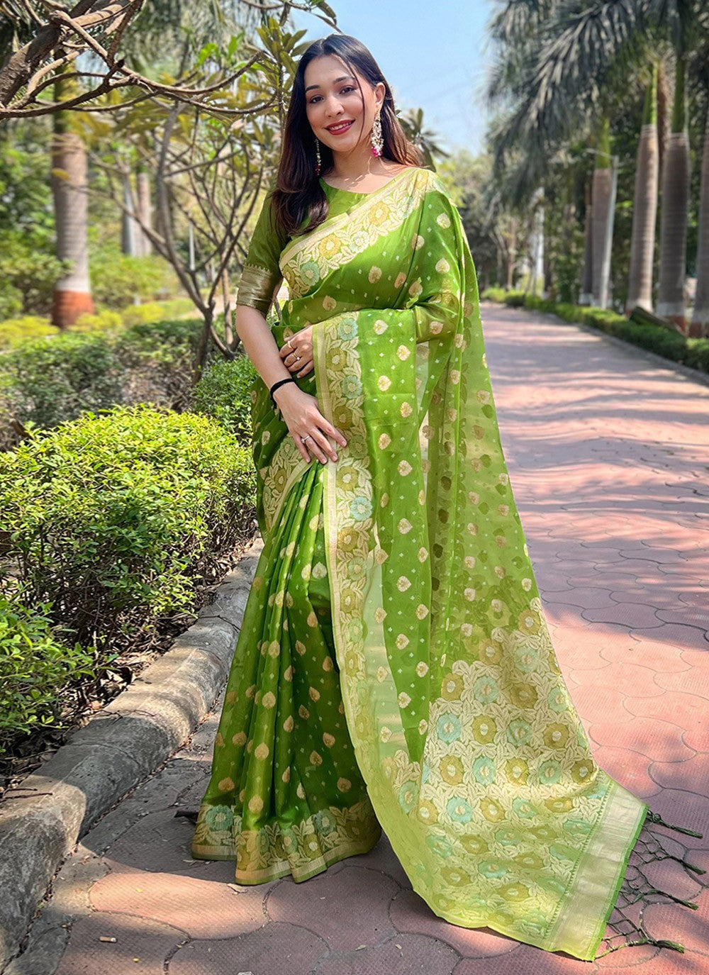 Contemporary Woven Organza Saree - S8057