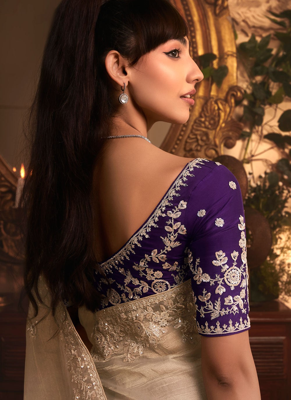 Beige Organza Classic Saree Border Work, Cut Work, Embroidered, Sequins, Zari S19407
