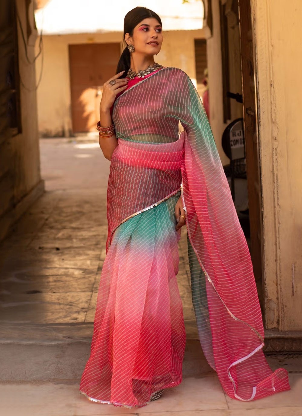 Classic Border Work Organza, Silk Saree - S5146