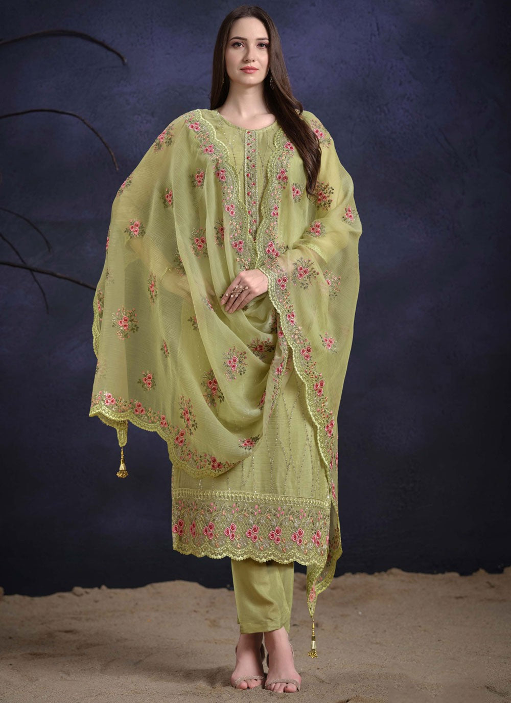 Organza Salwar Suit - T3967
