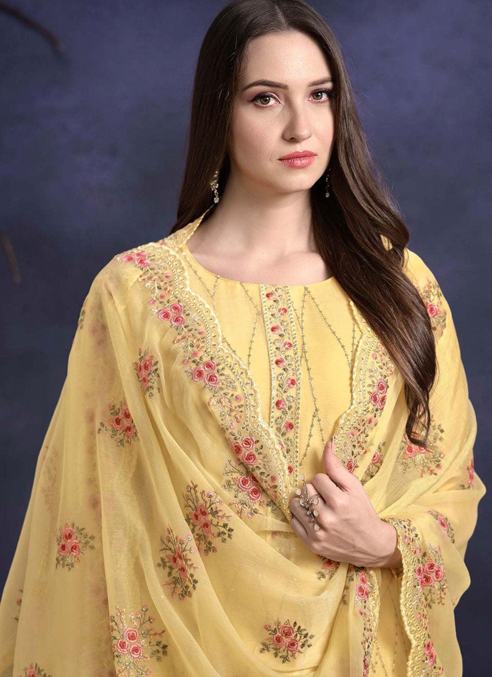 Organza Salwar Suit - T3967