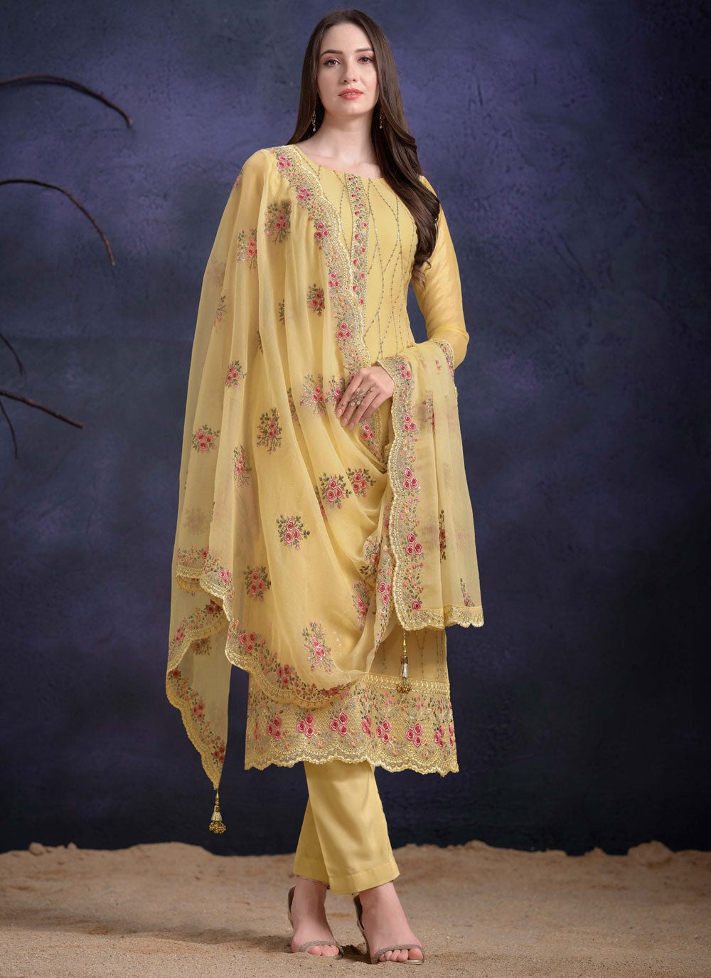 Organza Salwar Suit - T3967