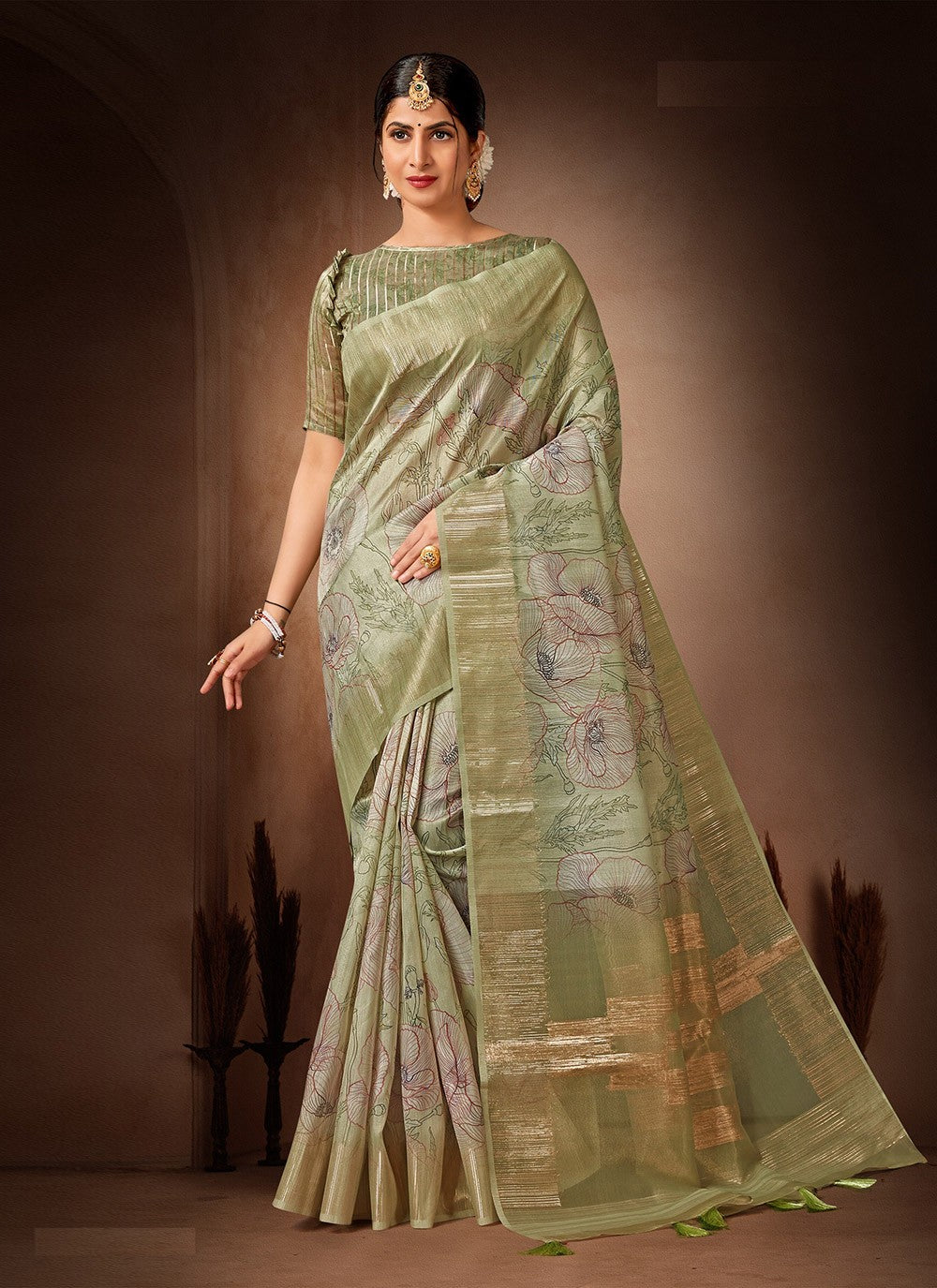 Classic Printed Organza, Tissue Saree - S4482