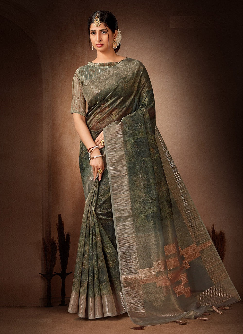 Classic Printed Organza, Tissue Saree - S4482