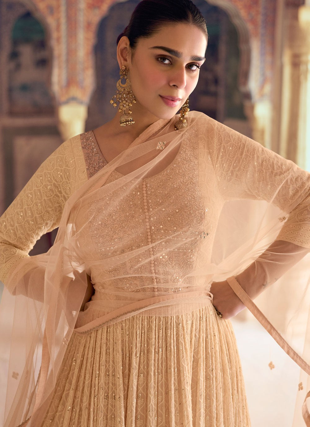 Chikankari Work Pure Georgette Gown - G1879