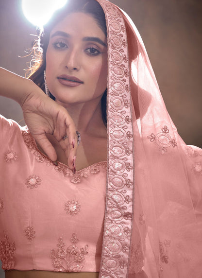 Embroidered Net Peach Lehenga - L3264