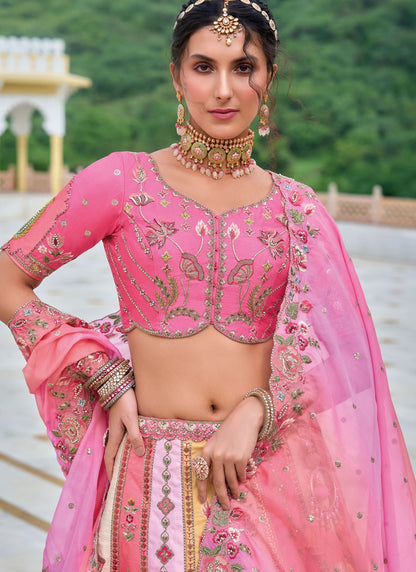 Embroidered Silk A - Line Lehenga - L2813