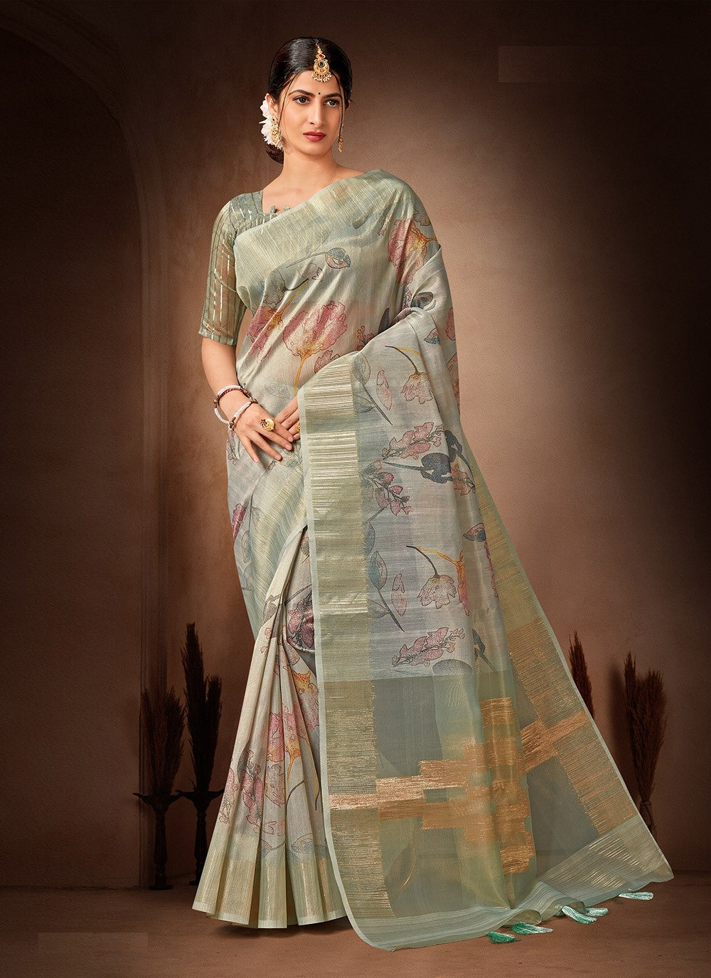 Classic Printed Organza, Tissue Saree - S4482