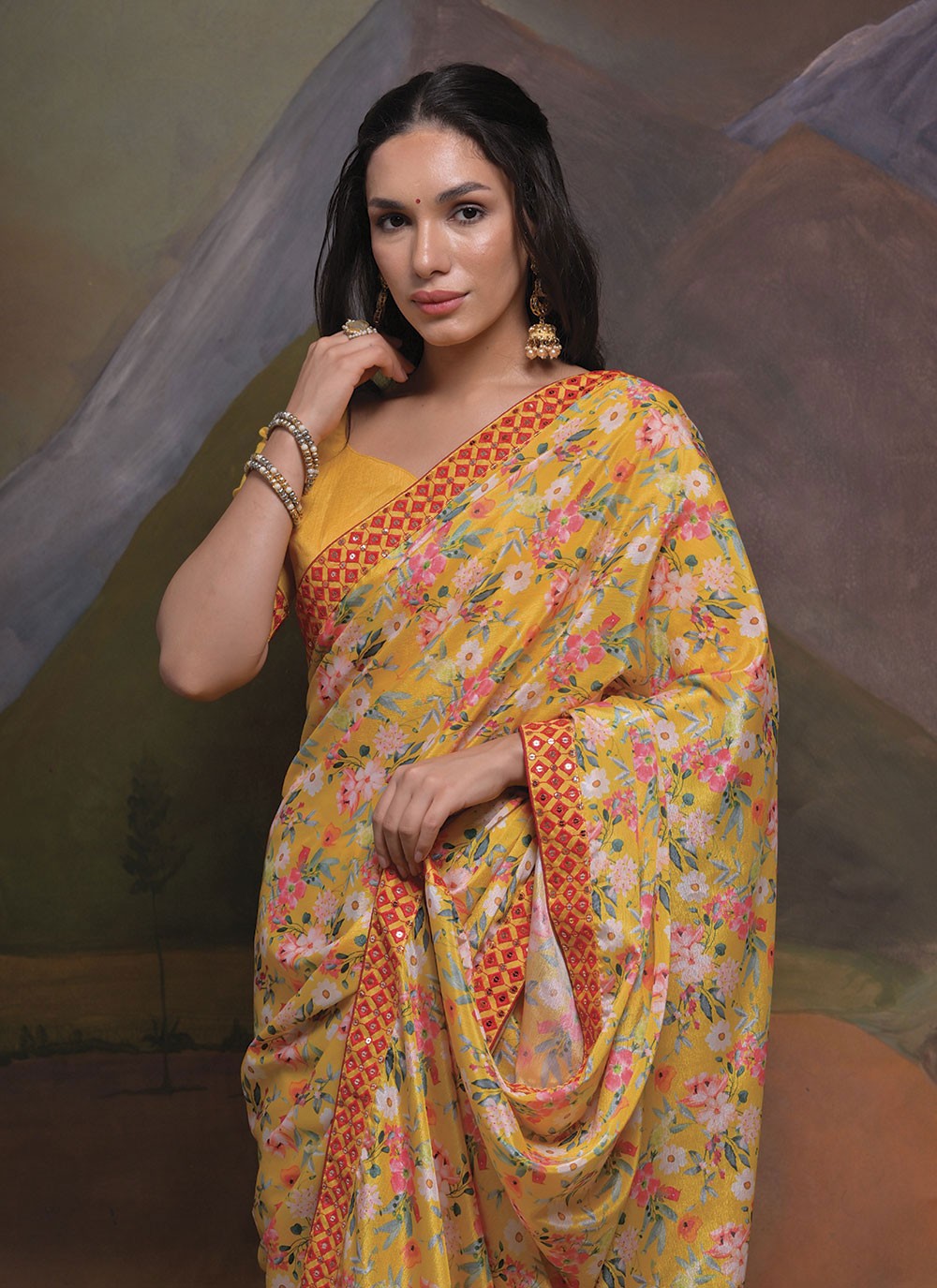 Trendy Border Work Chinon Saree - S4777