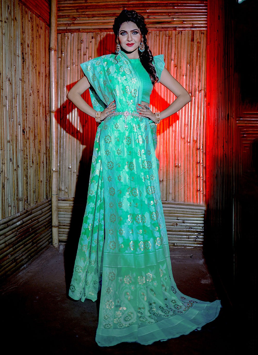 Classic Woven Cotton Saree - S6053