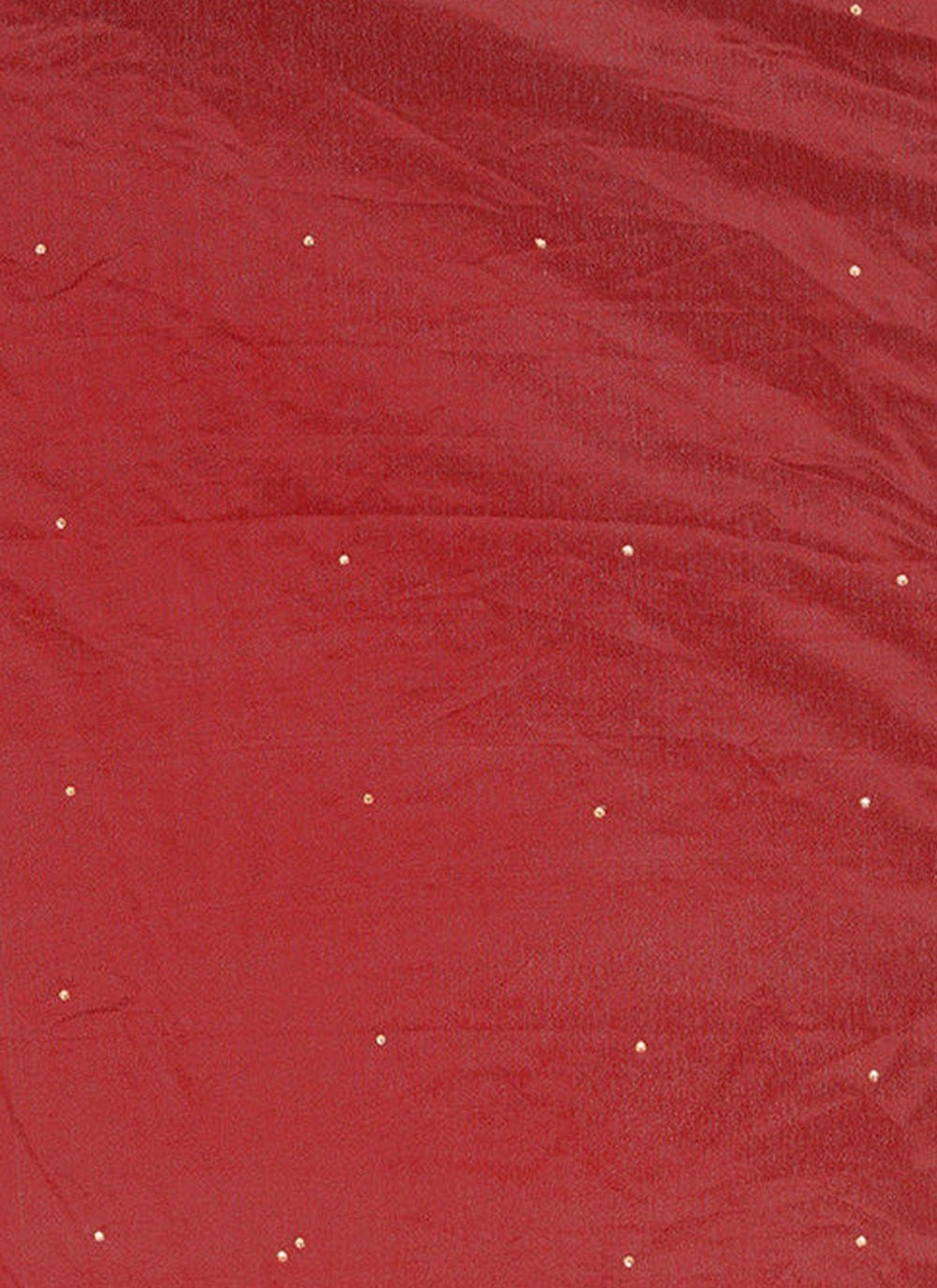 Classic Hand Embroidery Brasso Saree - S4738