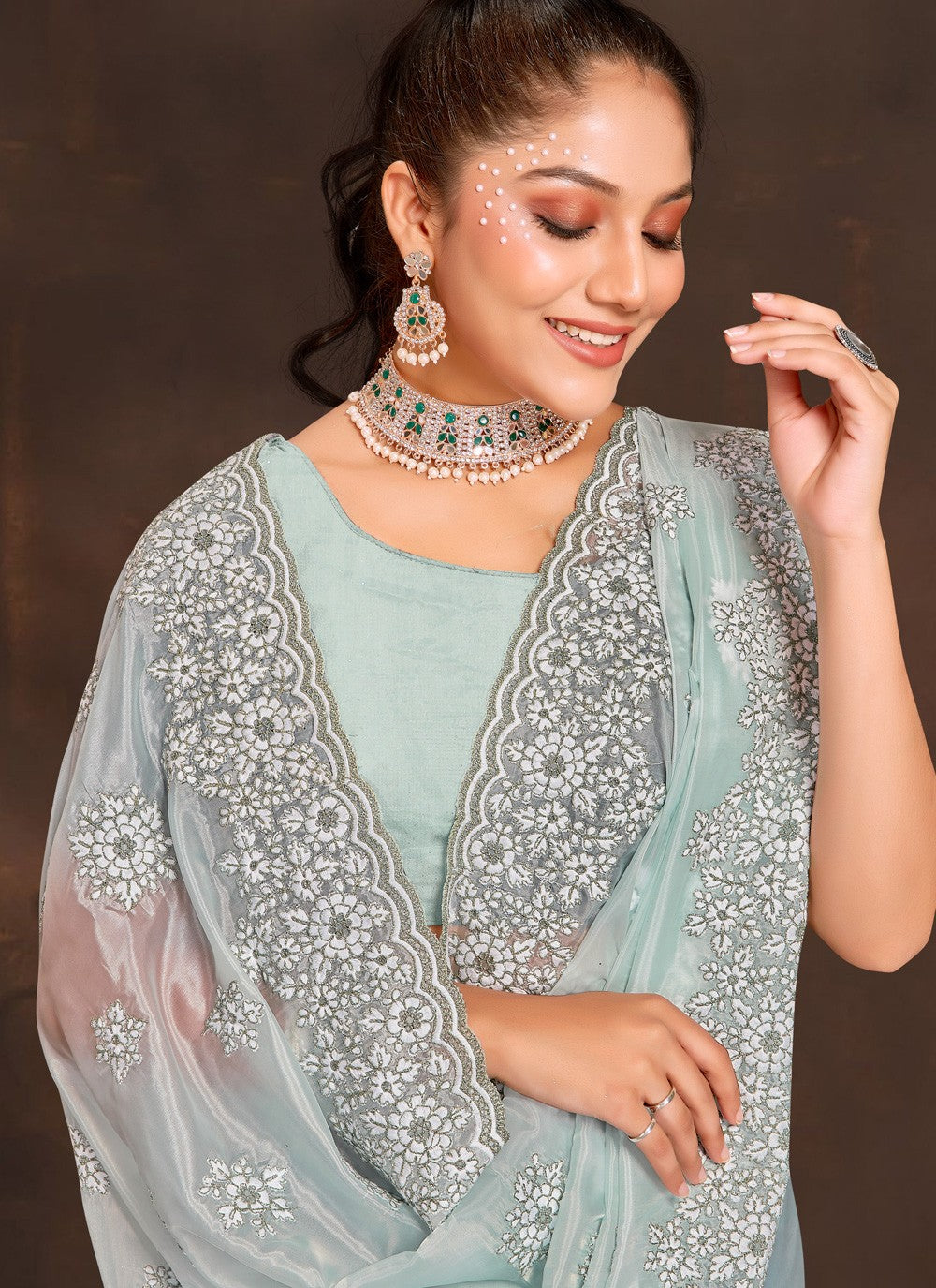 Classic Embroidered Organza Saree - S3996