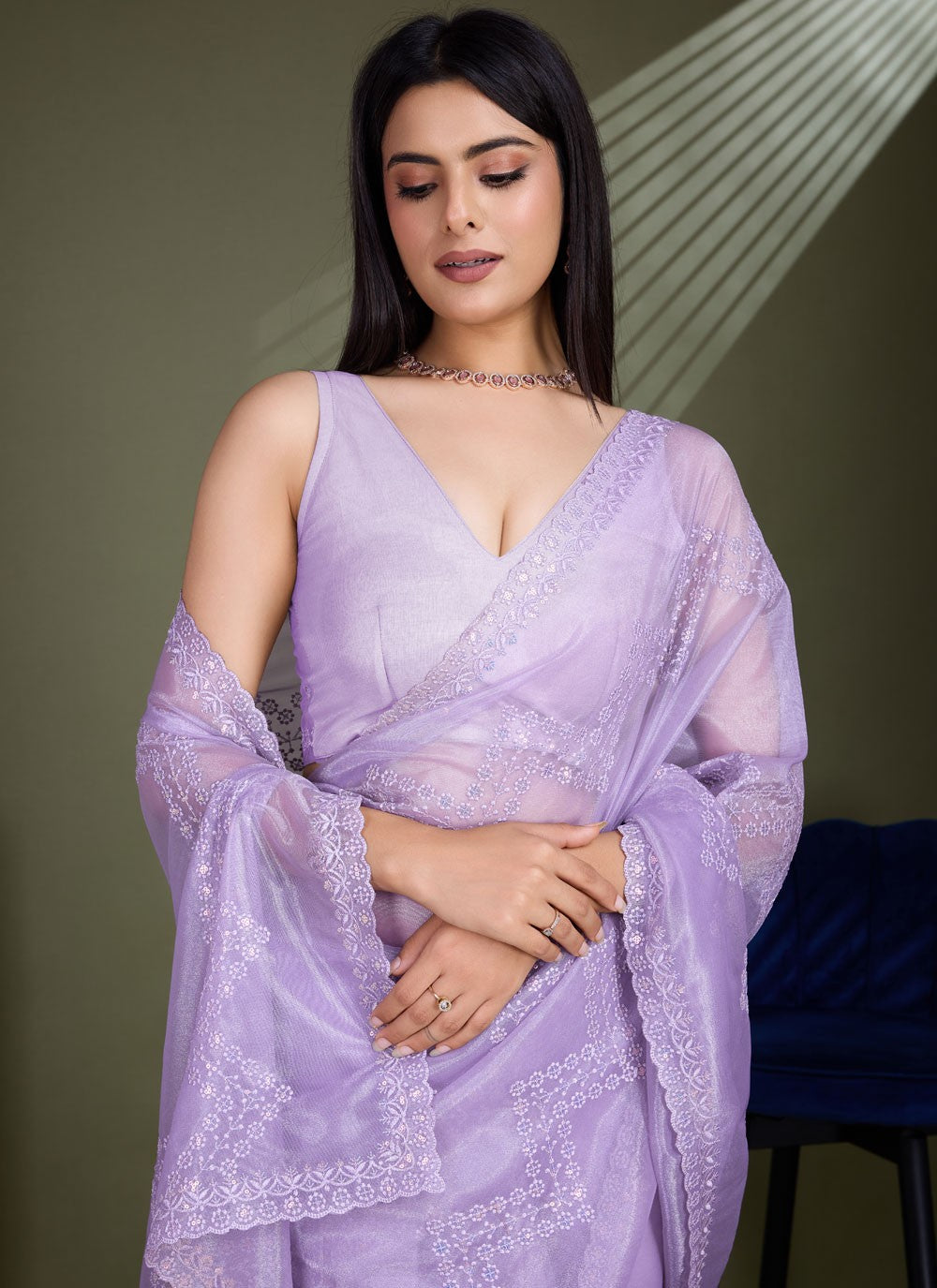 Classic Embroidered Net Saree - S8456