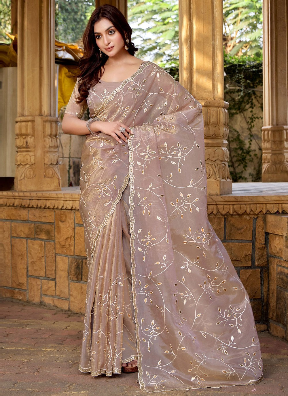 Traditional Embroidered Beige, Brown Silk Saree S13420
