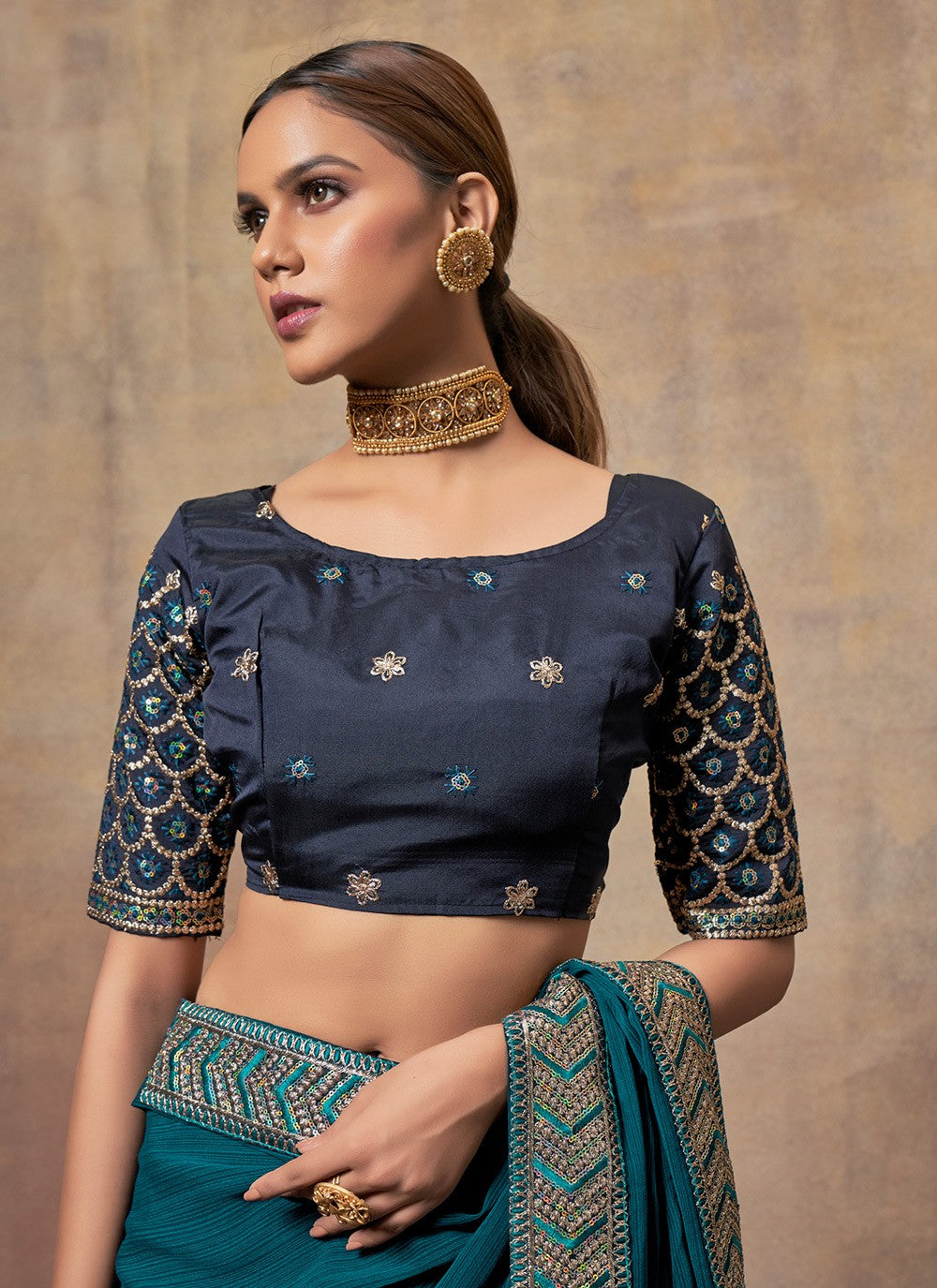 Traditional Embroidered Chiffon Saree - S6060