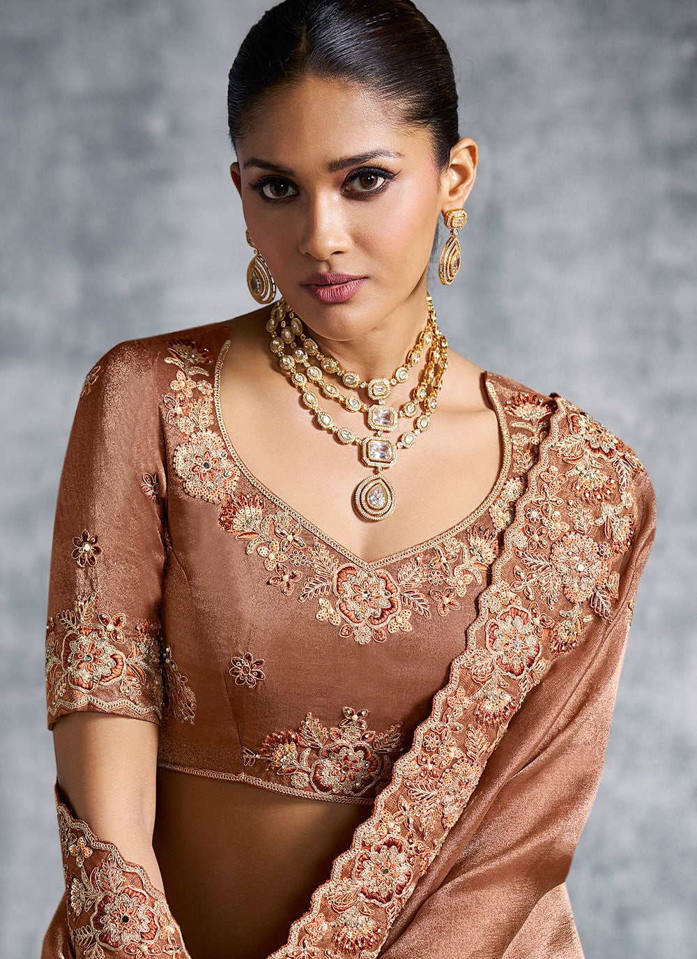 Brown Tissue Traditional Saree Embroidered, Resham, Thread S19891