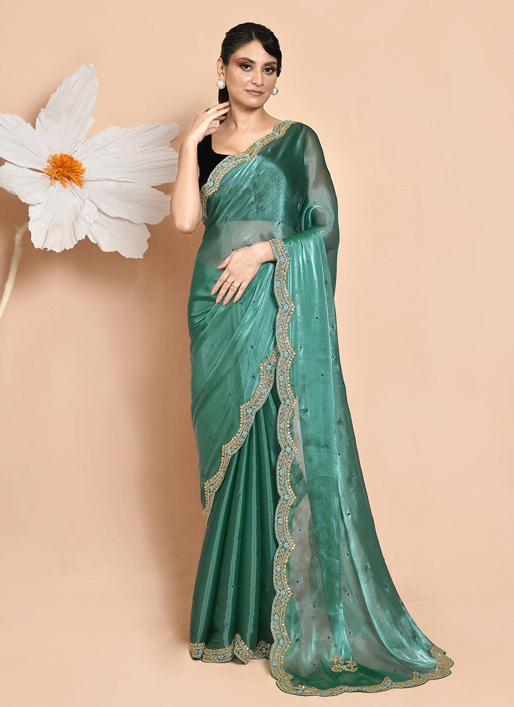 Classic Hand Embroidery Jimmy Chu Saree - S9269