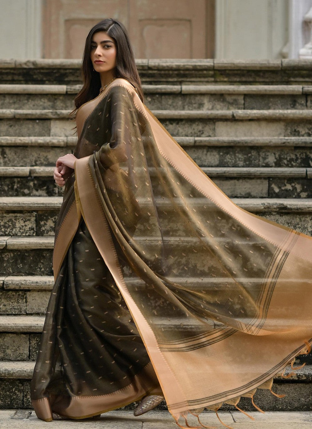 Woven Silk Brown Saree S13889