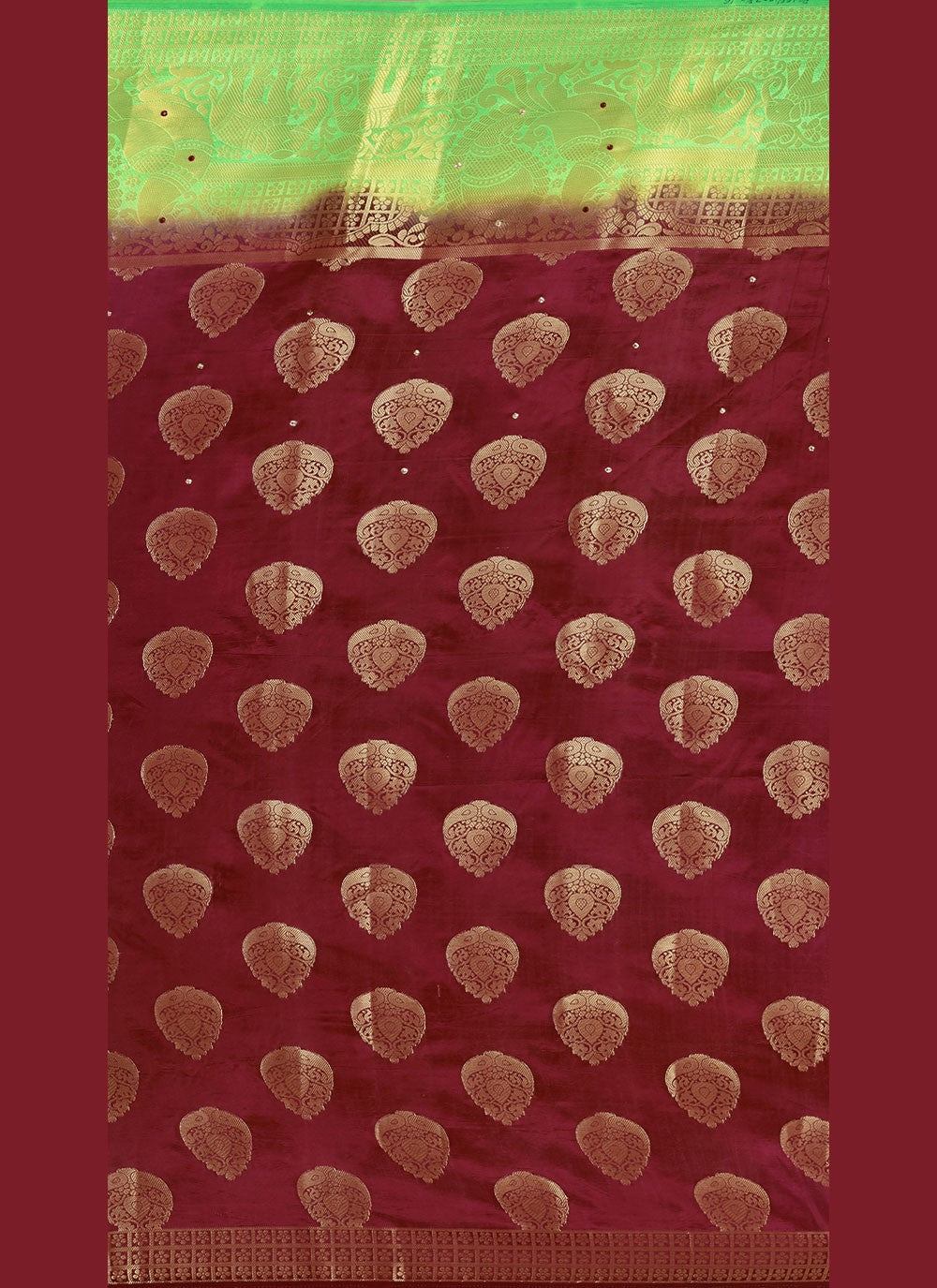 Classic Hand Embroidery Brasso Saree - S4738